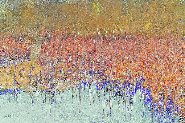 Vibrant Wetland Scenery Wall Art