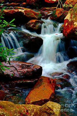 Vibrant Woodland Waterfall Wall Art