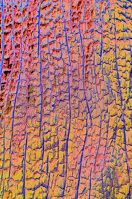 Vibrant Yellow and Orange Wood Texture Wall Art