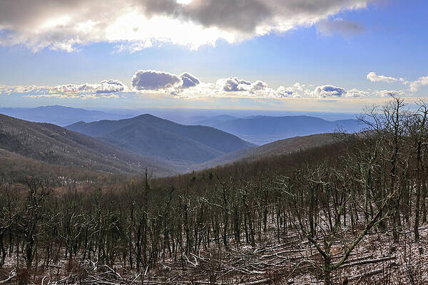 Wall Art featuring the photograph View From Apple Orchard Mountain by Deb Beausoleil