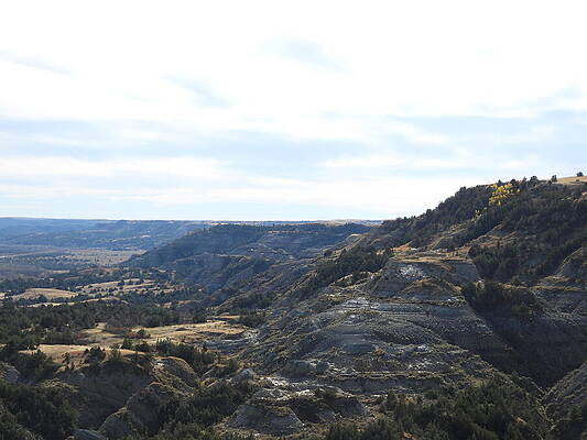 Theodore Roosevelt National Park Photograph - View From Oxbow Overlook 3 by Amanda R Wright