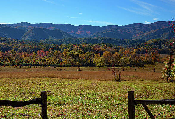 Wall Art featuring the photograph View From The Field by Gina Fitzhugh