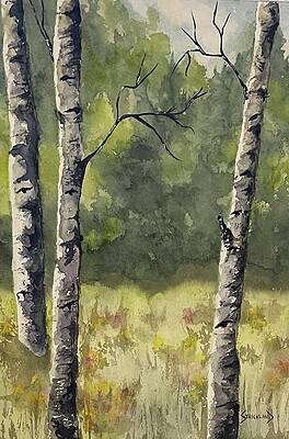 Tree Wall Art featuring the painting View From The Trail - Buffalo Creek by Judy Strickland
