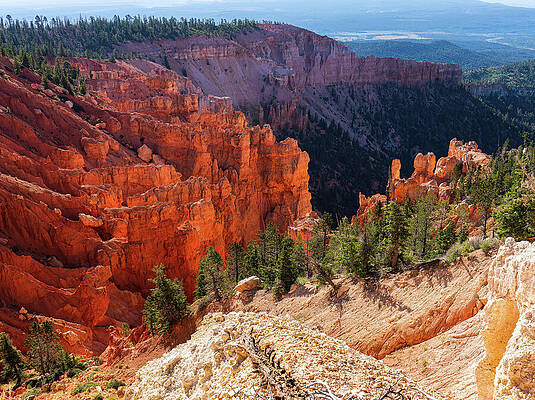 Photograph - View From Yovimpa Point, Bryce by Ron Long Ltd Photography