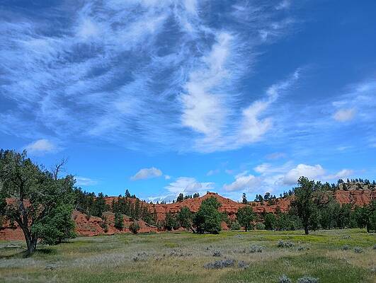 Wilderness Photograph - View Near Devils Tower 2 by Amanda R Wright