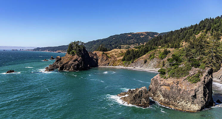 Oregon Wall Art featuring the photograph View North From Otter Point by Ed Clark