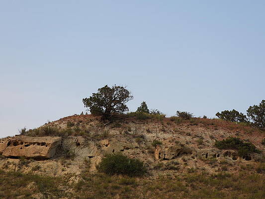 Theodore Roosevelt National Park Photograph - View Of A Blue Birds Perch by Amanda R Wright