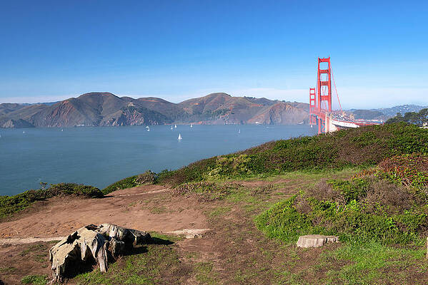 Wall Art featuring the photograph View Of Golden Gate Bridge From The Presidio by Matthew DeGrushe