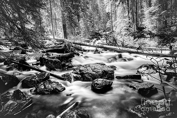 Wall Art featuring the photograph View Of Great Smoky Mountains National Park - Stream Waterfall Running Water Black And White by Stefano Senise