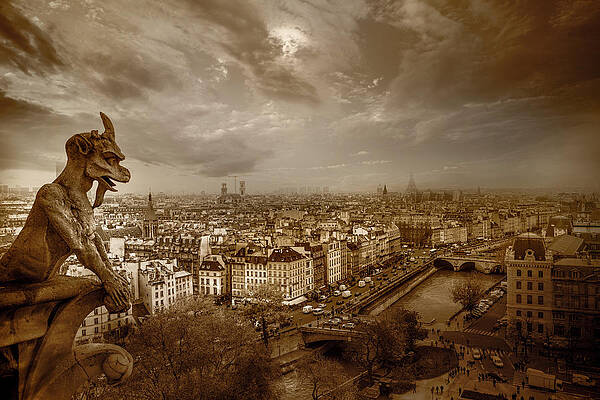 Paris Skyline with Gargoyle View Wall Art