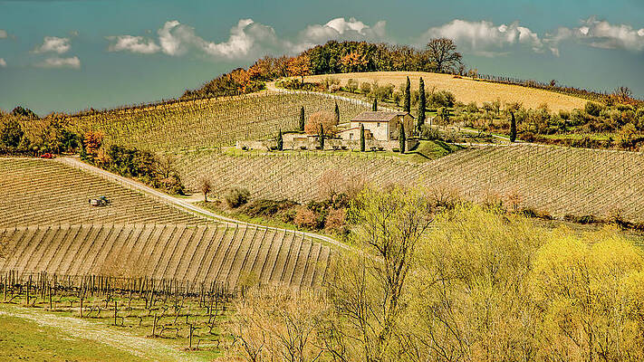 Country Photograph - Vineyard View In Tuscan Spring by Marcy Wielfaert