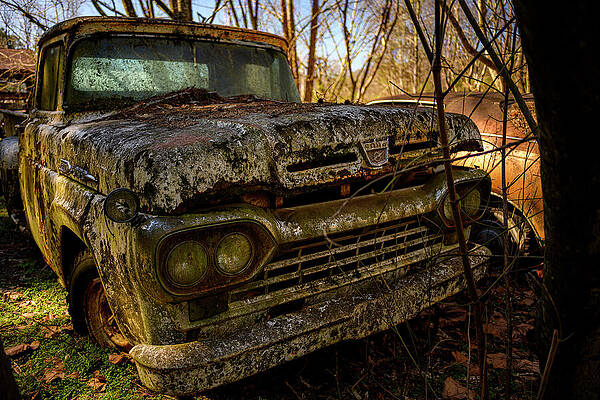 Rusty Vintage Truck in Forest Wall Art