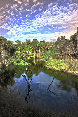 Sky Wall Art featuring the photograph Vintage Florida by Sally Fuller