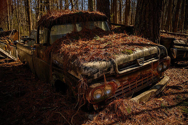 Abandoned Truck in the Forest Wall Art