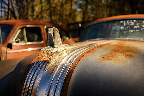 Vintage Car Hood Ornament Wall Art