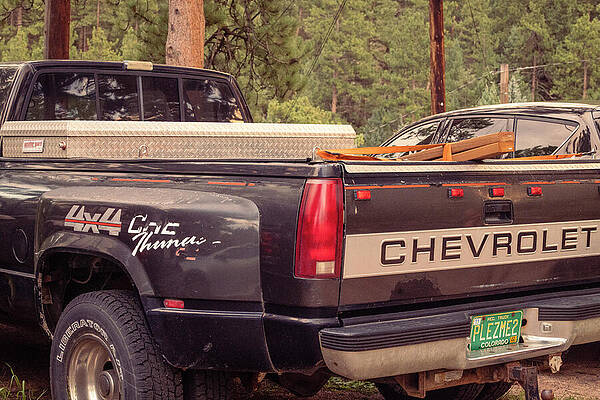 Tree Photograph - Vintage - Please Me Chevy Truck by Robert Niemeier
