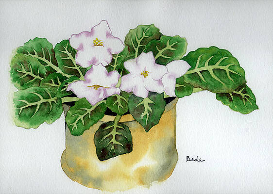 Wall Art featuring the painting Violet II by Catherine Bede