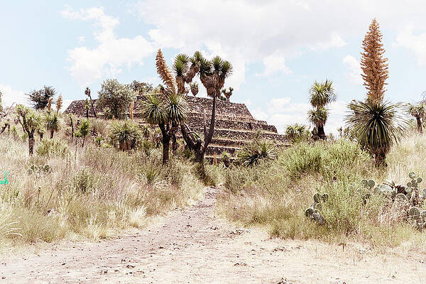 Travel Photograph - Viva Mexico Collection - Pyramid Of Cantona Puebla by Philippe HUGONNARD