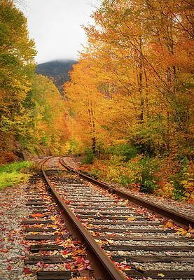 Wall Art featuring the photograph Vivid Fall Train Tracks Crawford Notch by Dan Sproul