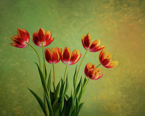 Vivid Spring Print