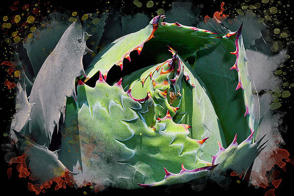 Vivid Succulent with Colorful Spines Wall Art