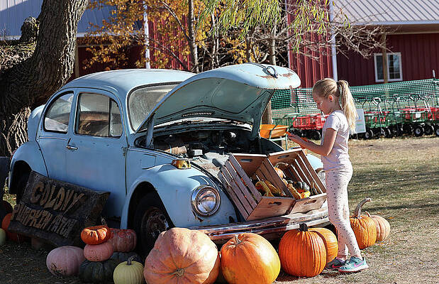 Photograph - VW With Pumpkins by Robert Allen Hill