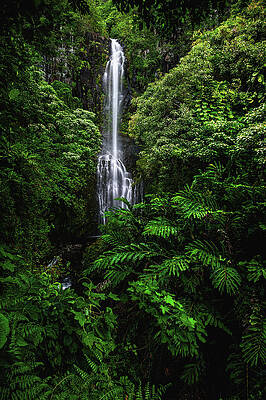 Moody Photograph - Wailua Falls Closeup - Maui, Hawaii by Abbie Warnock