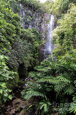 Beautiful Photograph - Wailua Falls by Craig A Walker