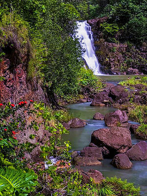 Wall Art featuring the photograph Waimea Falls by Louis Raphael