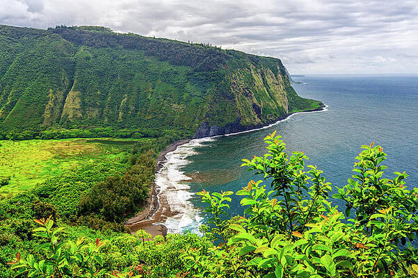 Landscape Photograph - Waipio Valley by Abbie Warnock
