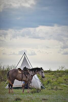 Cowboy Wall Art featuring the photograph Waiting For Jesse by Alden White Ballard