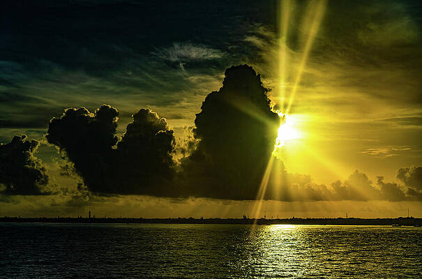 Seattle Wall Art featuring the photograph Waking Up To Cozumel Mexico by Tommy Farnsworth