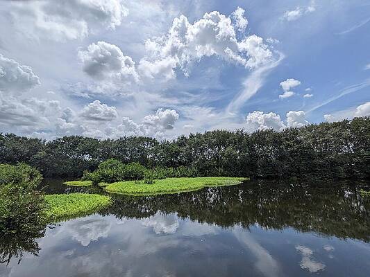 Nature Photograph - Wakotahatchee 245 by David McKinney