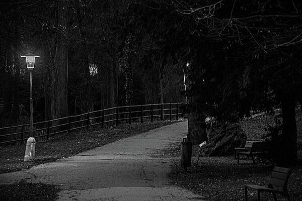 Nature Photograph - Walking In The Dark by Robert Grac