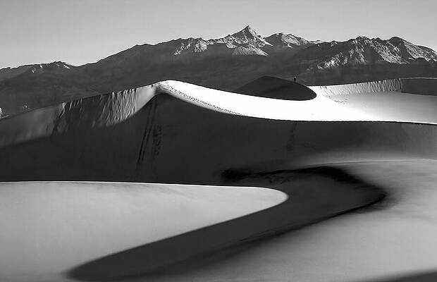 Wall Art featuring the photograph Walking The Edge by Joe Schofield