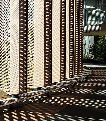 Architecture Wall Art featuring the photograph Walking Through DNA by Elvira Peretsman