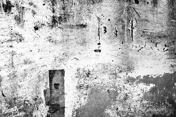 Wall Art featuring the photograph Wall by Mia Badenhorst