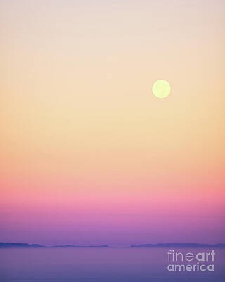 Wall Art featuring the photograph Morning Moon Dance by Abigail Diane Photography