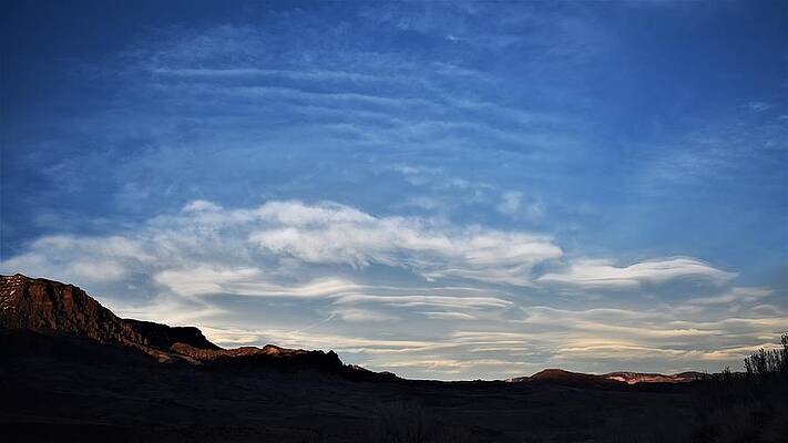 Landscape Photograph - Wapiti Evening by Alden White Ballard