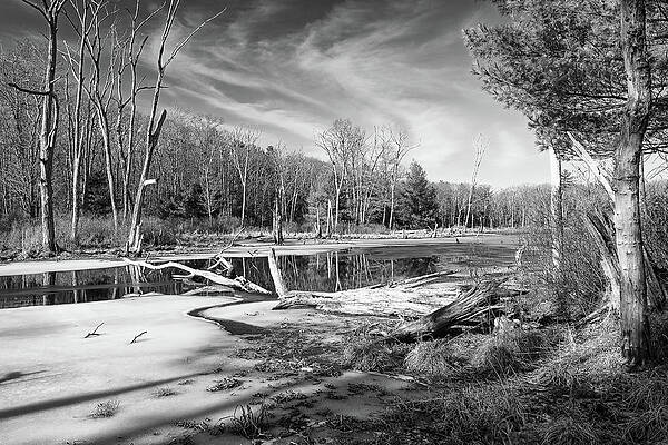 Photograph - Ward Reservation Melt by Steven Nelson