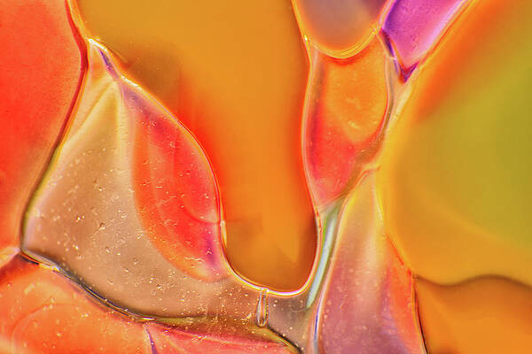 Wall Art featuring the photograph Warm And Cozy Erotic Art by Omaste Witkowski