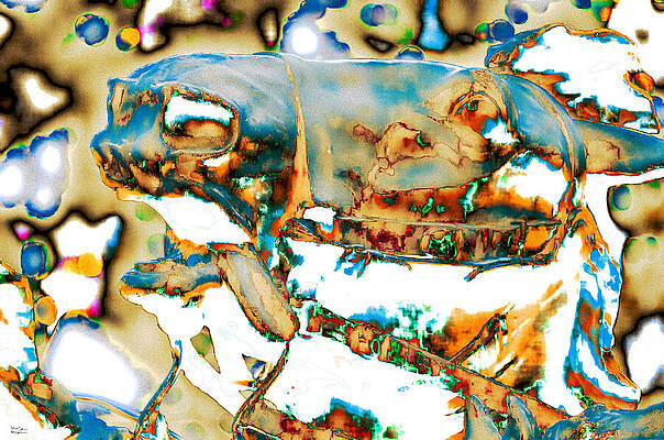 Wall Art featuring the photograph Was- Art. by Alex John Bergerman