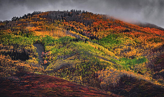 Color Photograph - Wasatch Back Autumn Colors 2, Utah by Abbie Warnock
