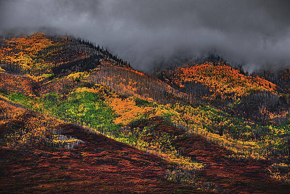 Color Photograph - Wasatch Back Autumn Colors, Utah by Abbie Warnock