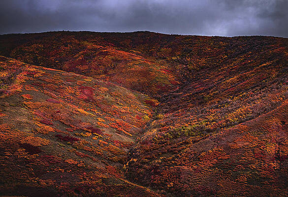 Fall Photograph - Wasatch Back Autumn Mood, Utah by Abbie Warnock