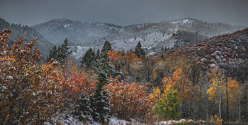 Scenic Photograph - Wasatch Back Winter Transition, Utah by Abbie Warnock