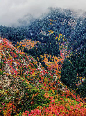 Moody Photograph - Wasatch Colors - Vertical by Abbie Warnock