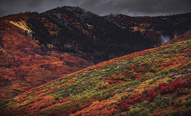 Color Photograph - Wasatch Mountain Colors, Utah by Abbie Warnock