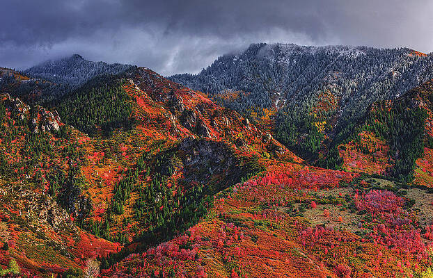 Color Photograph - Wasatch Mountains, Transition Of Seasons - Utah by Abbie Warnock