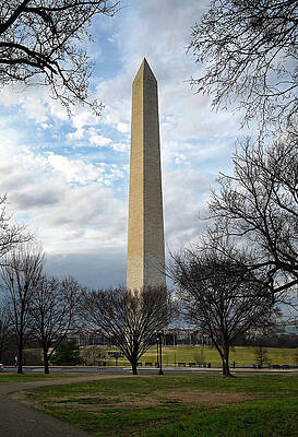 Wall Art featuring the photograph Washington Monument by Steven Nelson